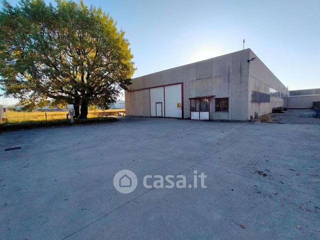 Capannone in commerciale in 
