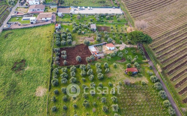 Terreno agricolo in commerciale in Via di Casal Montani 1