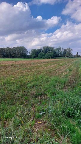 Terreno agricolo in commerciale in Piazza Marconi