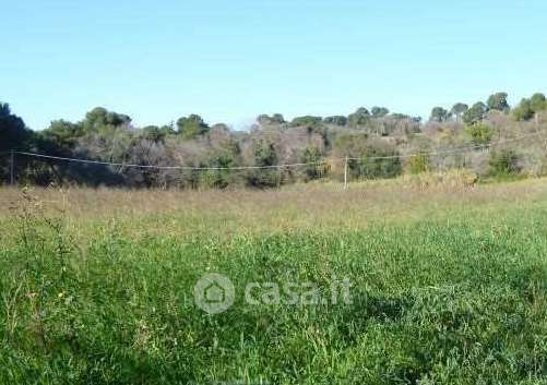 Terreno agricolo in commerciale in Via Palmanova