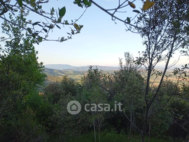 Terreno agricolo in commerciale in Strada dei Montali