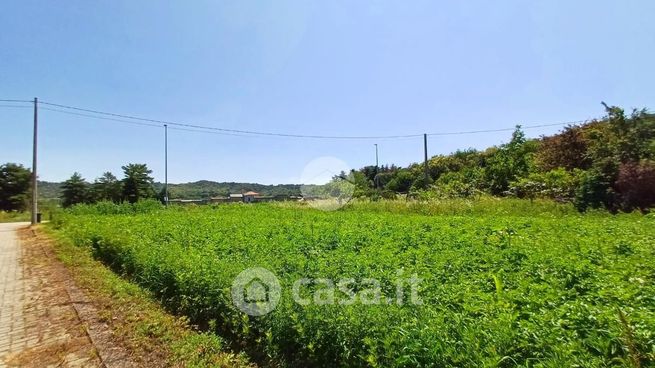 Terreno edificabile in residenziale in Strada Vicinale Camansino