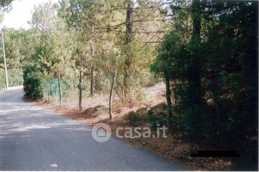 Terreno agricolo in commerciale in 