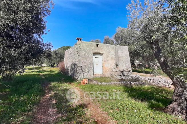 Terreno agricolo in commerciale in Contrada Cervarolo