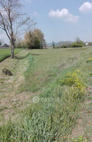 Terreno agricolo in commerciale in 