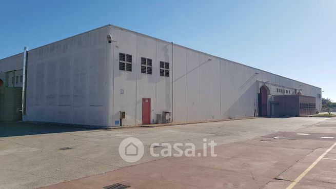 Capannone in commerciale in