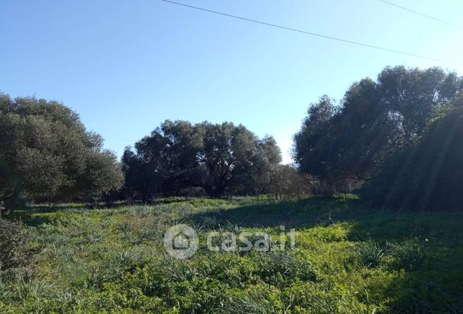 Terreno agricolo in commerciale in Via Sa Istrana