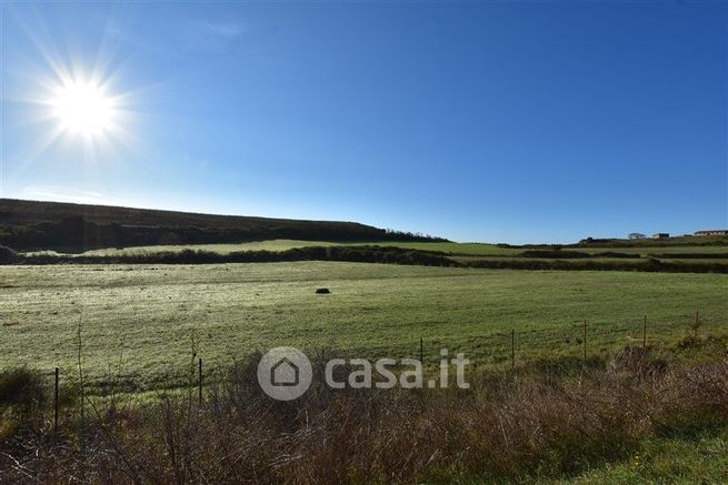 Terreno agricolo in commerciale in Strada Statale 127