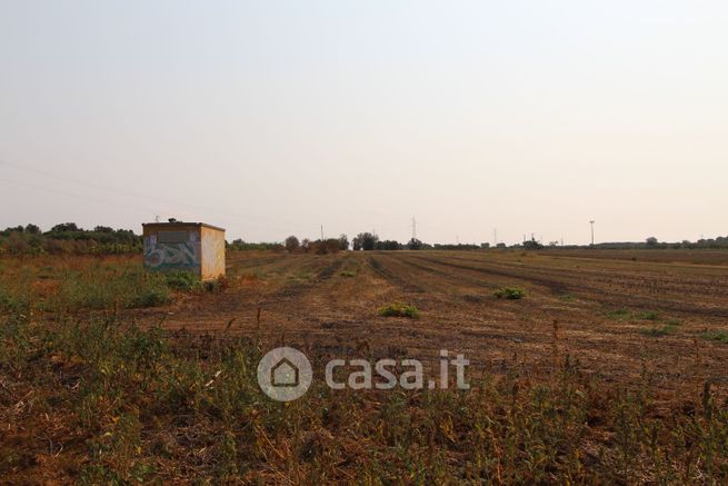 Terreno agricolo in commerciale in Contrada Buffi Acquaro