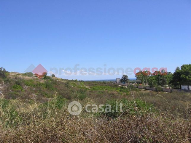 Terreno agricolo in commerciale in Strada Senza Nome