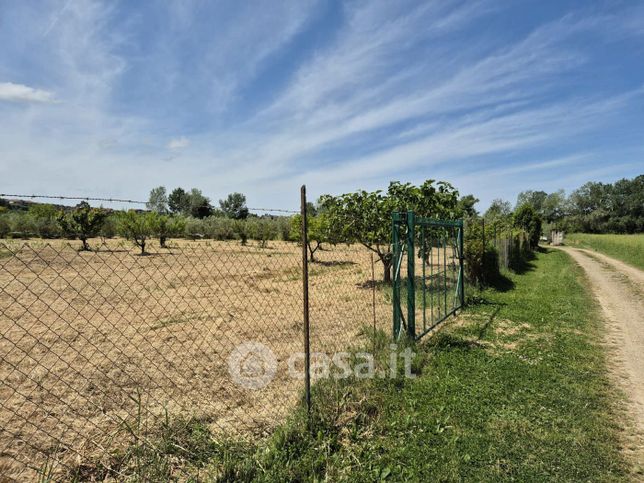 Terreno agricolo in commerciale in Strada Provinciale delle Conce 19