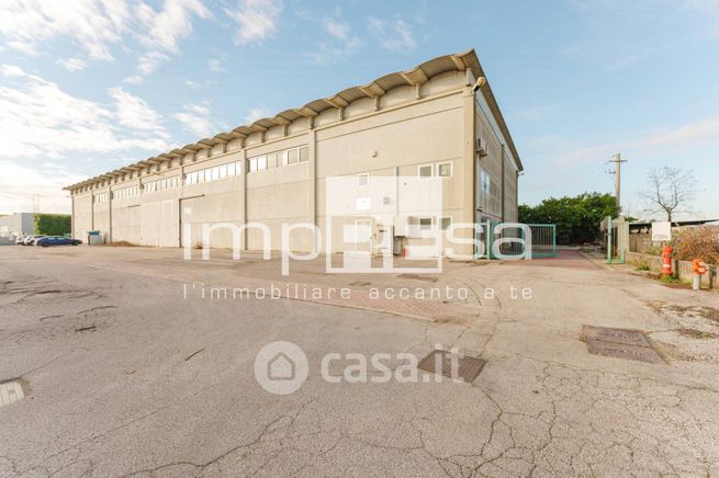 Capannone in commerciale in Via delle Industrie 31