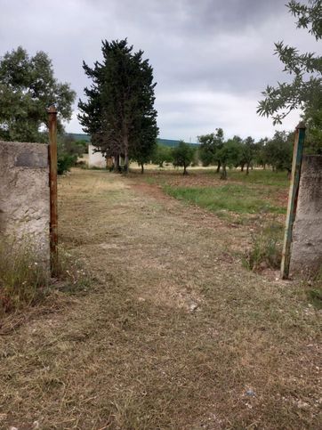 Terreno agricolo in commerciale in Strada vicina di lama felice