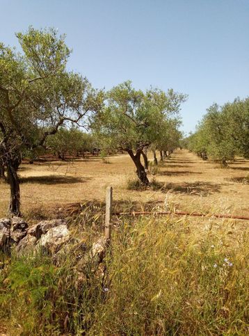 Terreno edificabile in residenziale in Strada Vicinale Stradone Difesa