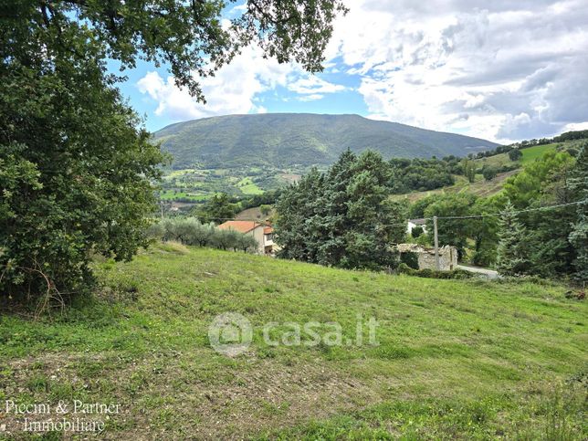 Rustico/casale in residenziale in Strada Regionale 444