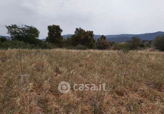 Terreno agricolo in commerciale in Viale dell'Autonomia Regionale Sarda