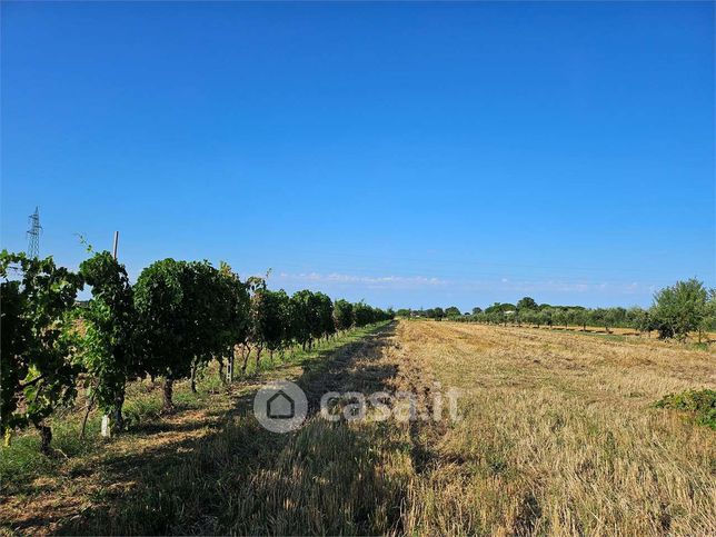 Terreno agricolo in commerciale in Via Trasversale Marecchia