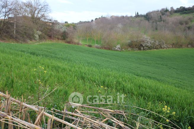 Rustico/casale in residenziale in Via dei casali