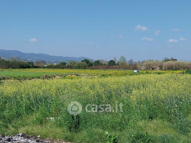 Terreno agricolo in commerciale in Via Campi Bisenzio
