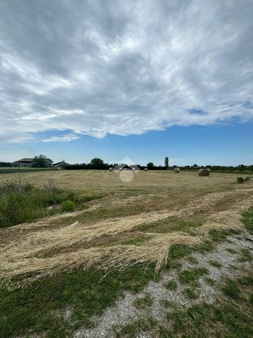 Terreno agricolo in commerciale in Via Brusadiccia