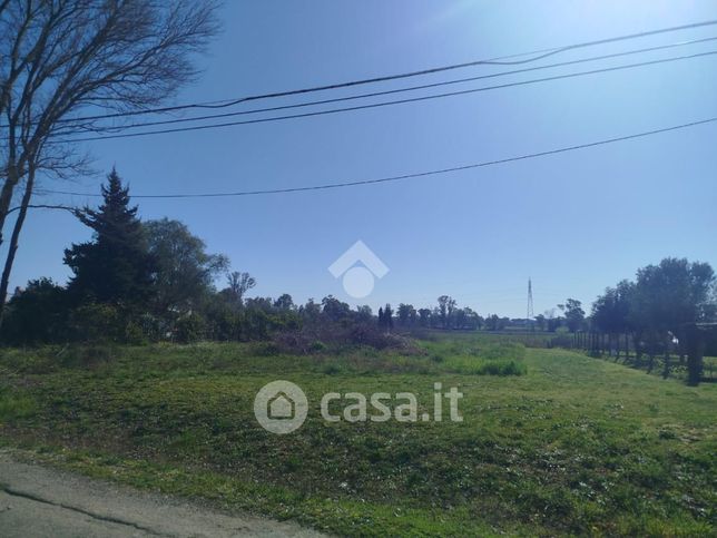Terreno agricolo in commerciale in Strada Circondariale 1