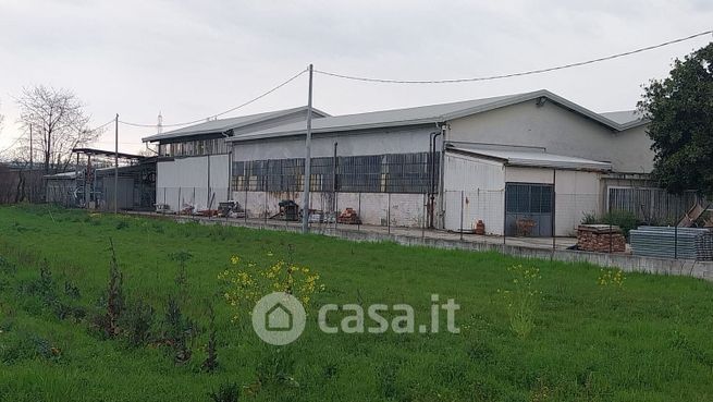 Capannone in commerciale in Via Torino Pianezza 110