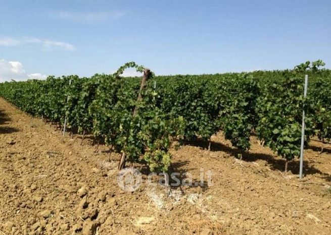 Terreno agricolo in commerciale in