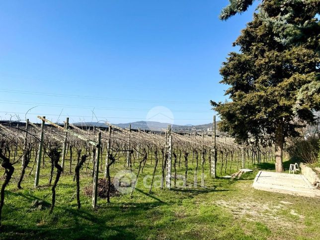 Terreno agricolo in commerciale in Via Ceredello di Sotto 372