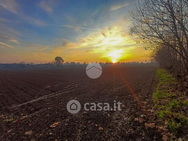 Terreno agricolo in commerciale in Via Pirolo 1