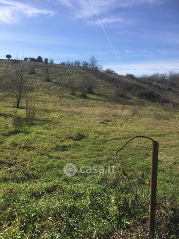 Terreno agricolo in commerciale in Via Sant'Angelo