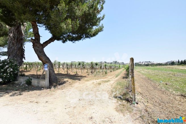 Terreno agricolo in commerciale in 