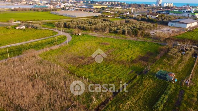 Terreno agricolo in commerciale in Via Mortacino