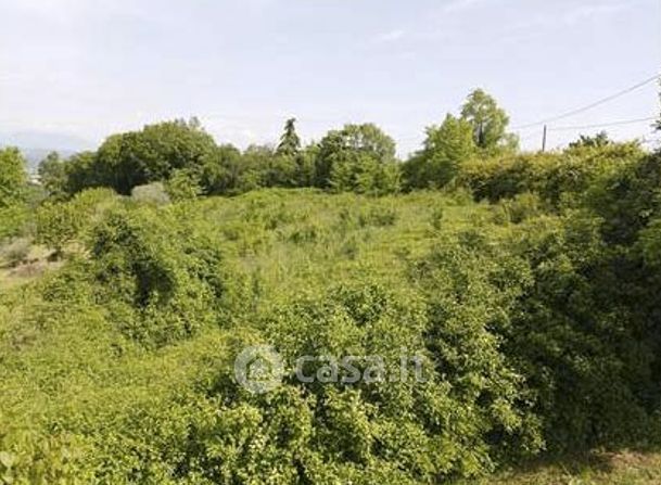 Terreno agricolo in commerciale in Via Paolini