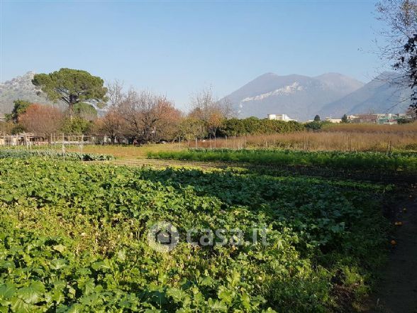 Terreno agricolo in commerciale in 