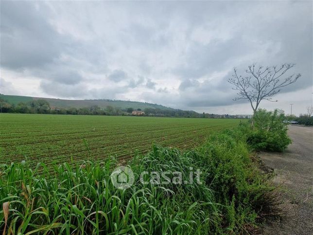 Terreno agricolo in commerciale in Viale Niccolai
