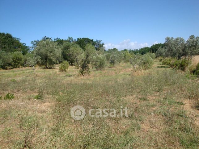 Terreno agricolo in commerciale in