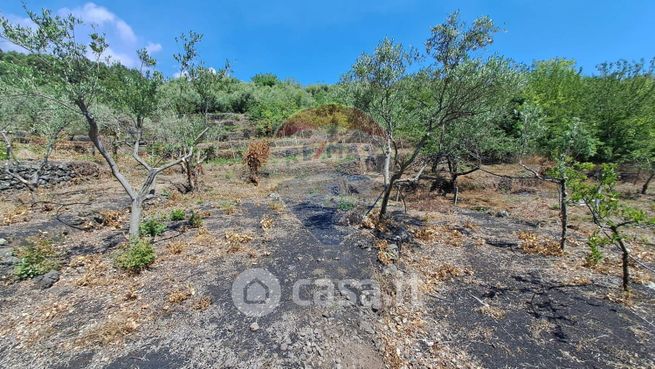 Terreno agricolo in commerciale in Via Risorgimento