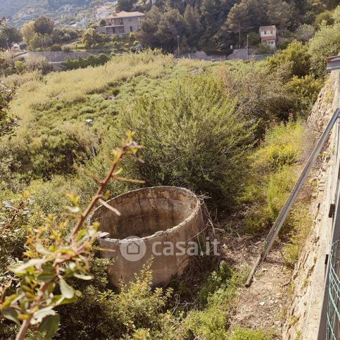 Terreno agricolo in commerciale in 