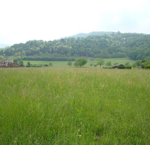 Terreno edificabile in residenziale in Via Finotti