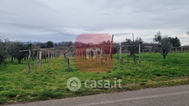 Terreno agricolo in commerciale in Via del Carzolese