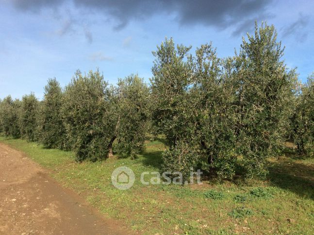 Terreno agricolo in commerciale in Via Val Marina