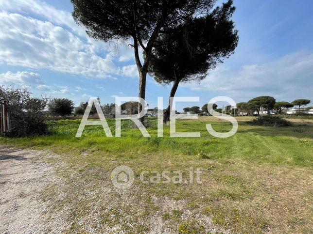 Terreno agricolo in commerciale in Via del Canale della Lingua
