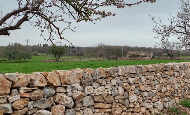 Terreno agricolo in commerciale in Corso Antonio Gramsci