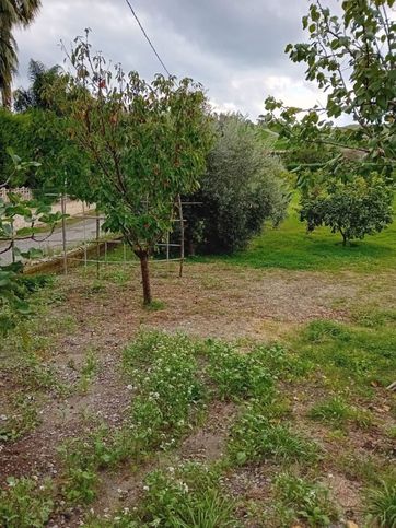 Terreno agricolo in commerciale in Strada Provinciale Africo 15