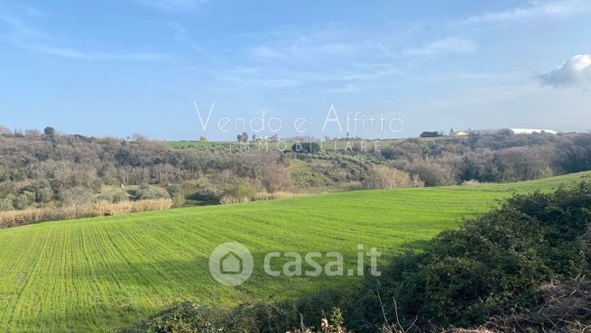 Terreno agricolo in commerciale in 
