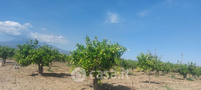 Terreno agricolo in commerciale in SP15