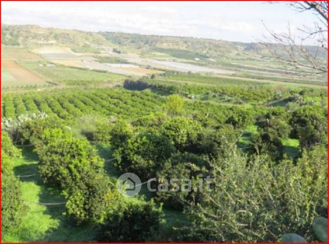 Terreno edificabile in residenziale in Strada Provinciale 1