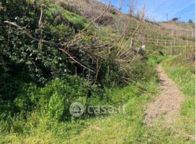 Terreno edificabile in residenziale in Via Coste D'Agnano