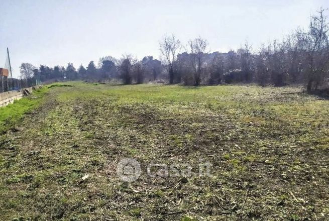 Terreno agricolo in commerciale in Vicinale del Querceto
