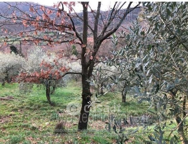 Terreno agricolo in commerciale in Via Chiassetto